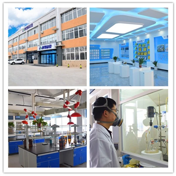 1556-34-9 R&D center