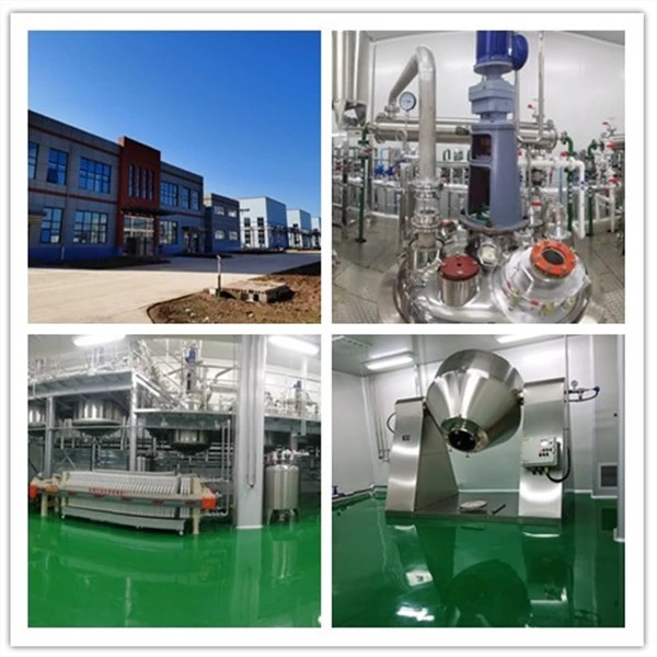 Dodecahydrododecaborate,sodiumsalt workshop